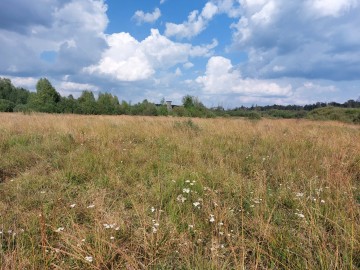 Prywatna wycieczka z przewodnikiem po Bolimowskim Parku Krajobrazowym z finału WOŚP 2025, 